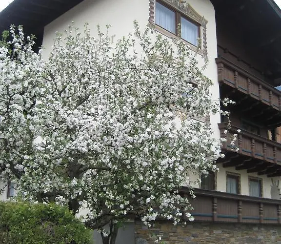 Gaestehaus Braunegger بيت ضيافة 3*