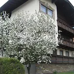 Gaestehaus Braunegger Gasthuis 3*