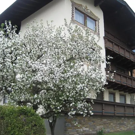Gaestehaus Braunegger Гостевой дом 3*